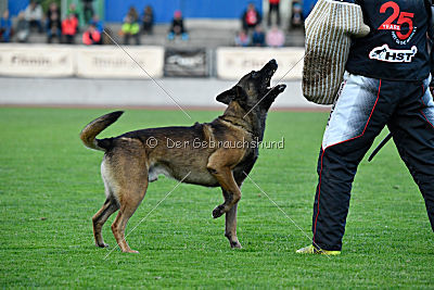 Ghandi from Mike`s Place